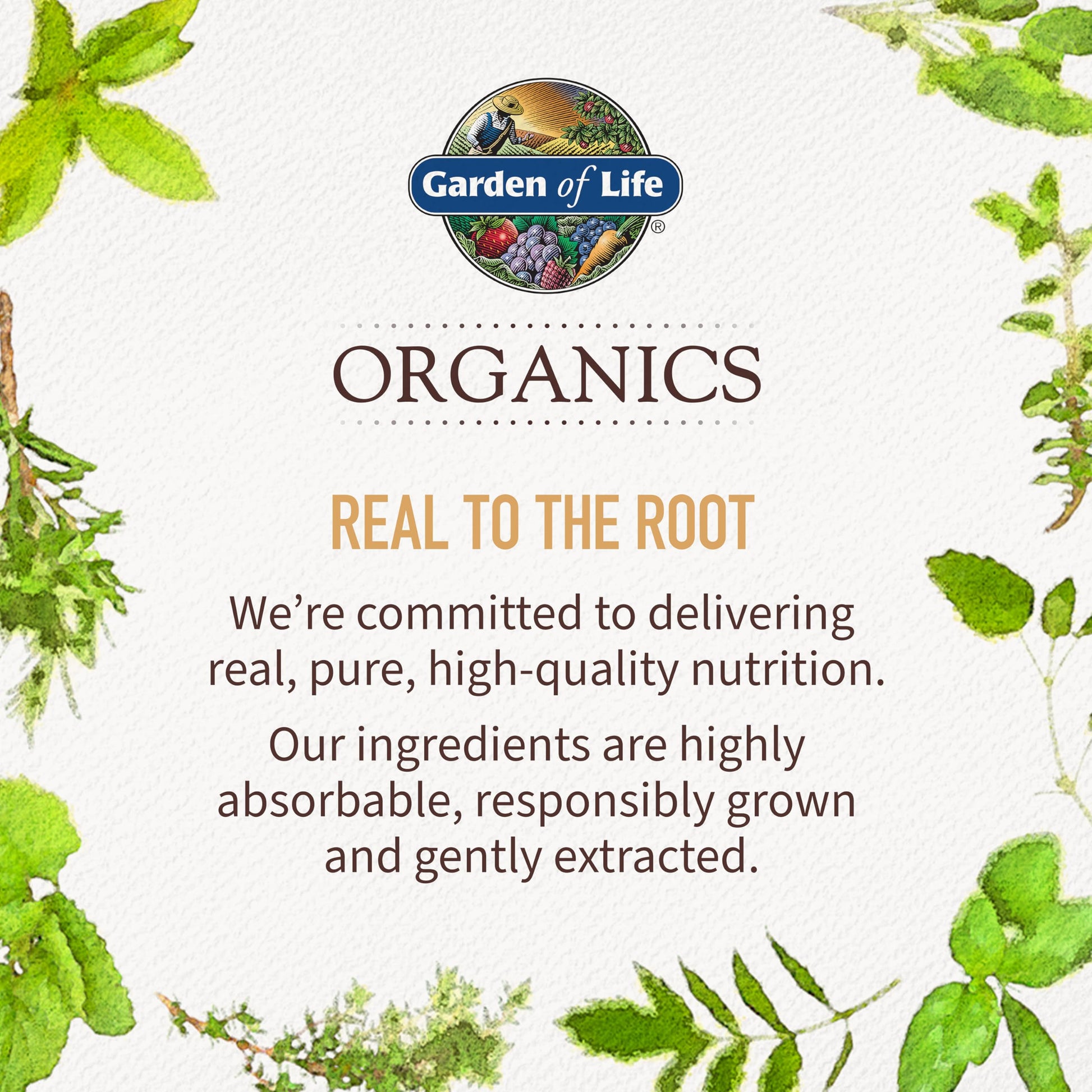Garden of Life Organics Men 40+ Gummy Vitamins - Berry - Certified Organic, Non-GMO, Vegan, Kosher Complete Multi Garden of LifeBuy Supplements Australia