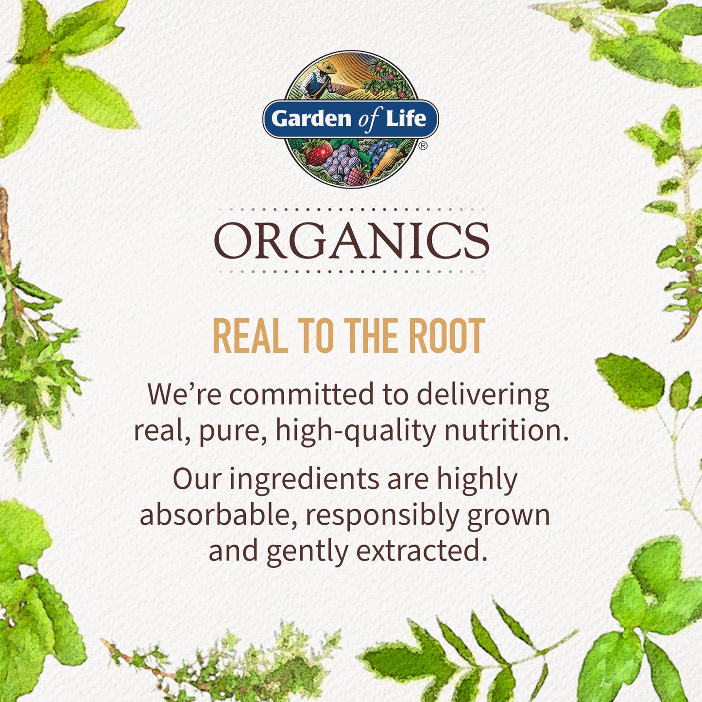 Garden of Life Organics Women 40+ Gummy Vitamins - Berry - Certified Organic, Non-GMO, Vegan, Kosher Complete Multi - Methyl B12, C & D3 Garden of LifeBuy Supplements Australia