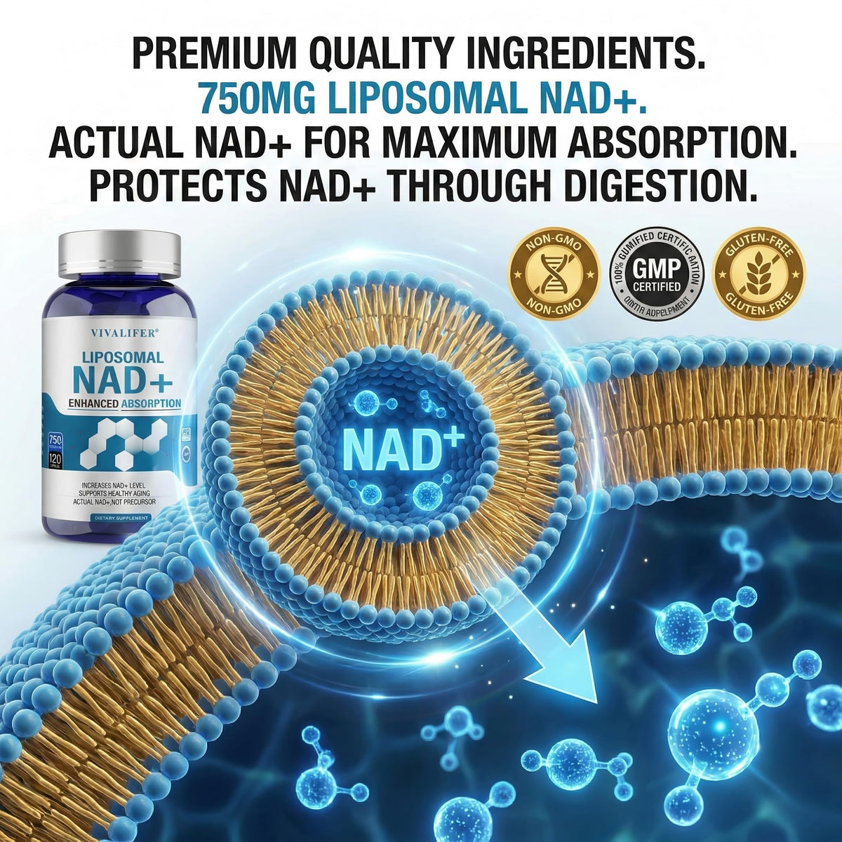 Liposomal NAD+ Supplement 750mg - 120 Capsules NMN Alternative Superior Absorption & Bioavailability -True Nicotinamide Adenine Dinucleotide for Cellular Energy, DNA Repair Support & Healthy Aging DQQIBuy Supplements Australia