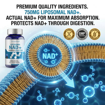 Liposomal NAD+ Supplement 750mg - 120 Capsules NMN Alternative Superior Absorption & Bioavailability -True Nicotinamide Adenine Dinucleotide for Cellular Energy, DNA Repair Support & Healthy Aging DQQIBuy Supplements Australia