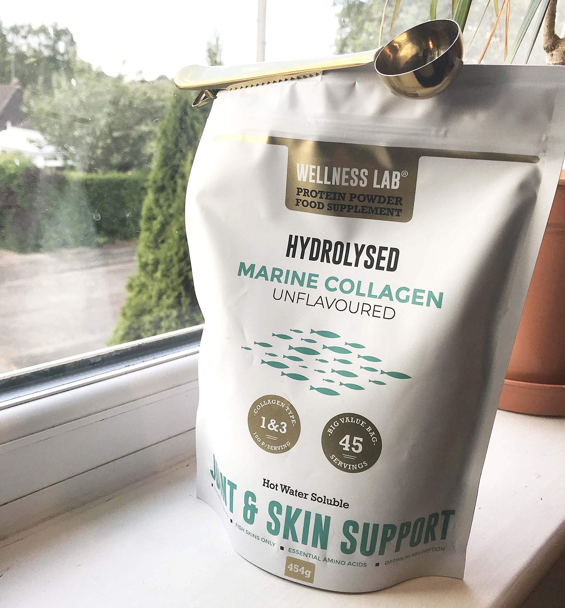 Cleanest Marine Collagen Peptides | Wellness Lab 454g | Type I,III | Highest Bioavailability Hydrolysed Protein Wellness LabBuy Supplements Australia