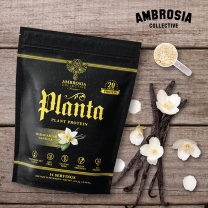 Ambrosia Plant Based Protein Powder 20g | Clean Vegan Pea Protein Powder | Gluten & Dairy Free, Keto Friendly, No Added Sugar | 14 Servings | Vanilla Ambrosia buy supplements Au