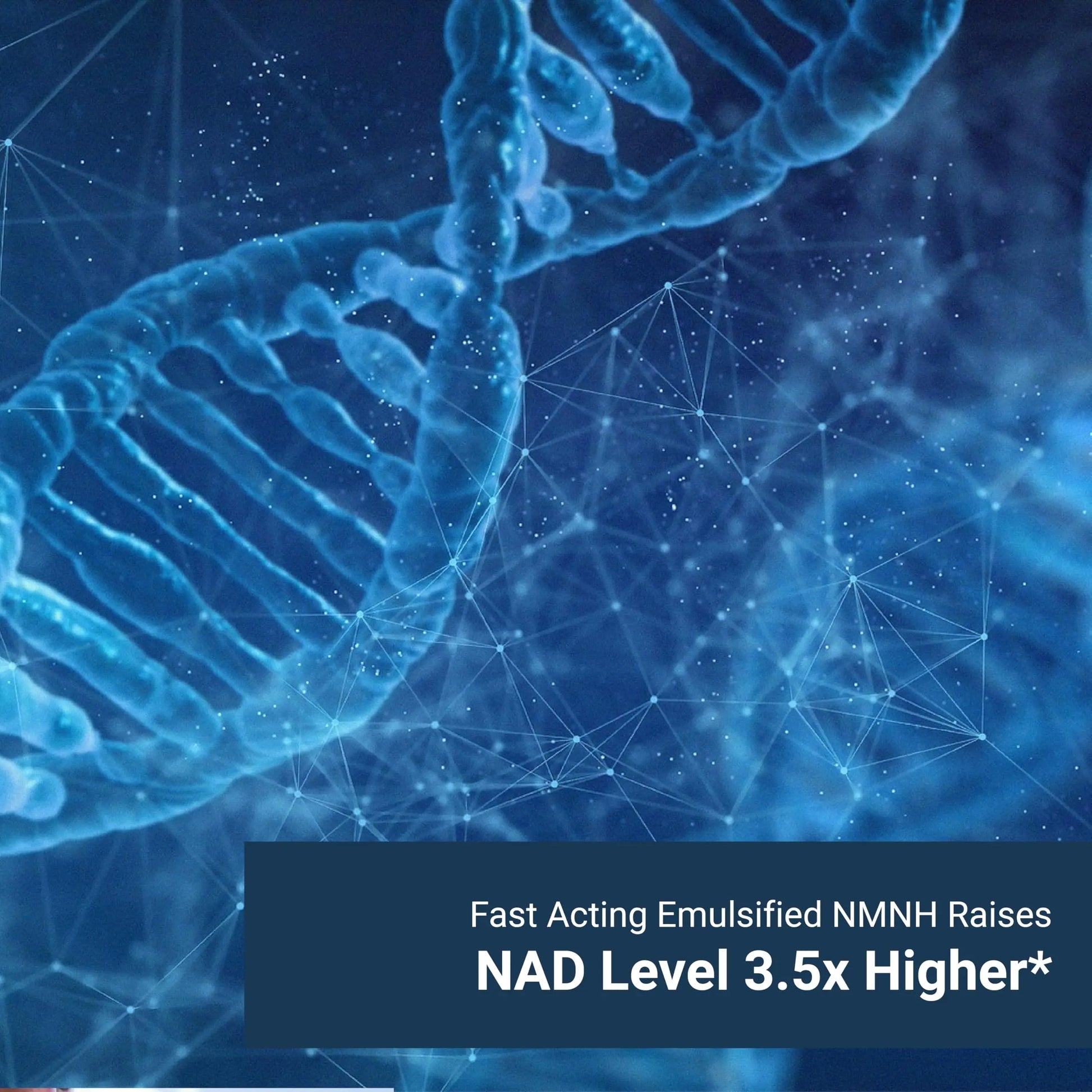 Naturalis Liposomal NMNH 300mg (NMN Alternative) | Boost NAD+ Levels & Support Healthy Aging* | Bioenhanced with Vitamin E for Advanced Absorption, Stability & Antioxidant Protection* | 60 Softgels NaturalisBuy Supplements Australia
