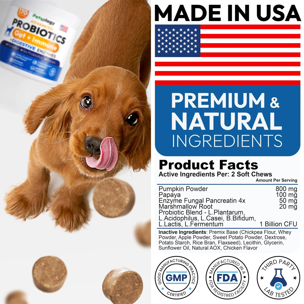 Probiotics for Dogs - 170 Dog Probiotics Chews - Digestive Enzymes & Prebiotics - Support Gut Health, Diarrhea, Gas & Constipation Relief - Itchy Skin, Allergies, Yeast Balance - Advanced Supplement Petsology buy supplements Au