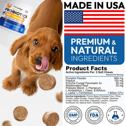 Probiotics for Dogs - 170 Dog Probiotics Chews - Digestive Enzymes & Prebiotics - Support Gut Health, Diarrhea, Gas & Constipation Relief - Itchy Skin, Allergies, Yeast Balance - Advanced Supplement Petsology buy supplements Au