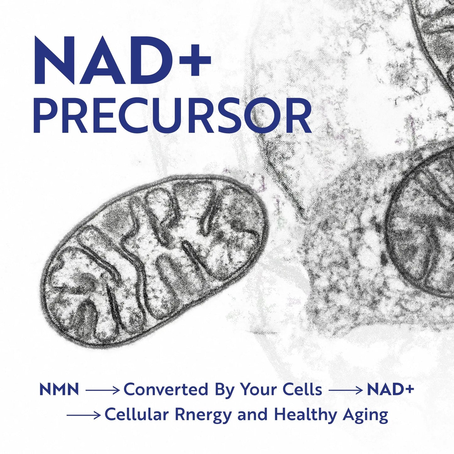 NMN Supplement 500mg | 99% Pure | NAD+ Precursor for Cellular Energy, Longevity, Repair, and Healthy Aging Support | Third-Party Tested & Non-GMO | Nicotinamide Mononucleotide | 60 NMN Capsules Nobi NutritionBuy Supplements Australia