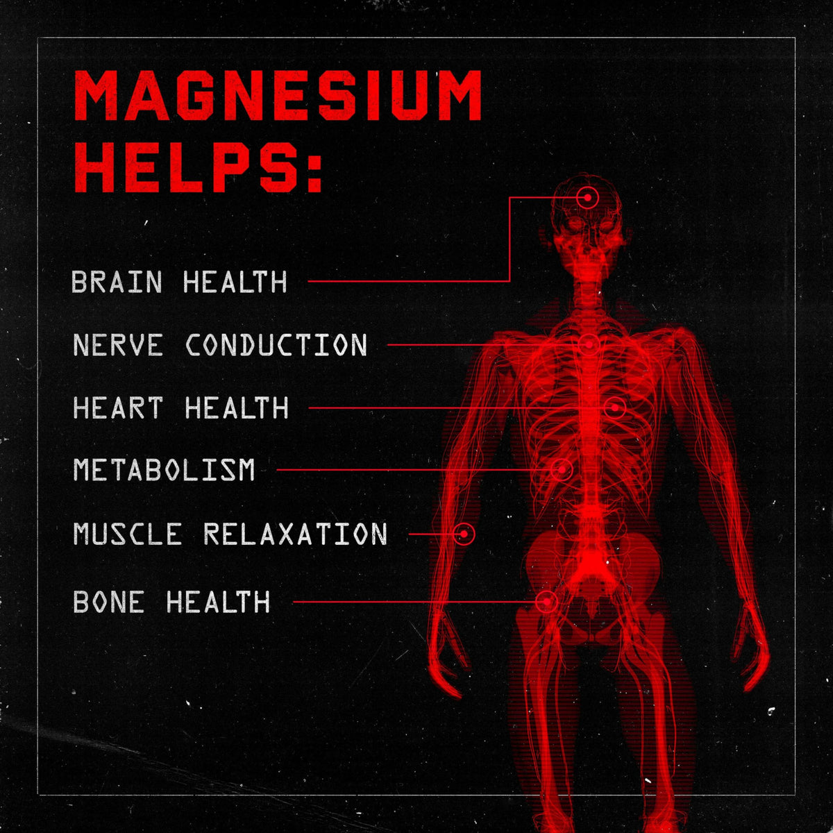 Jocko Fuel Magnesium Complex Supplement - Magnesium Glycinate, Citrate, & Taurate Capsules Dietary Supplement for Muscle Recovery & Relaxation, Heart, Nerve, Bone Support, & Sleep 30-Day Supply Jocko FuelBuy Supplements Australia
