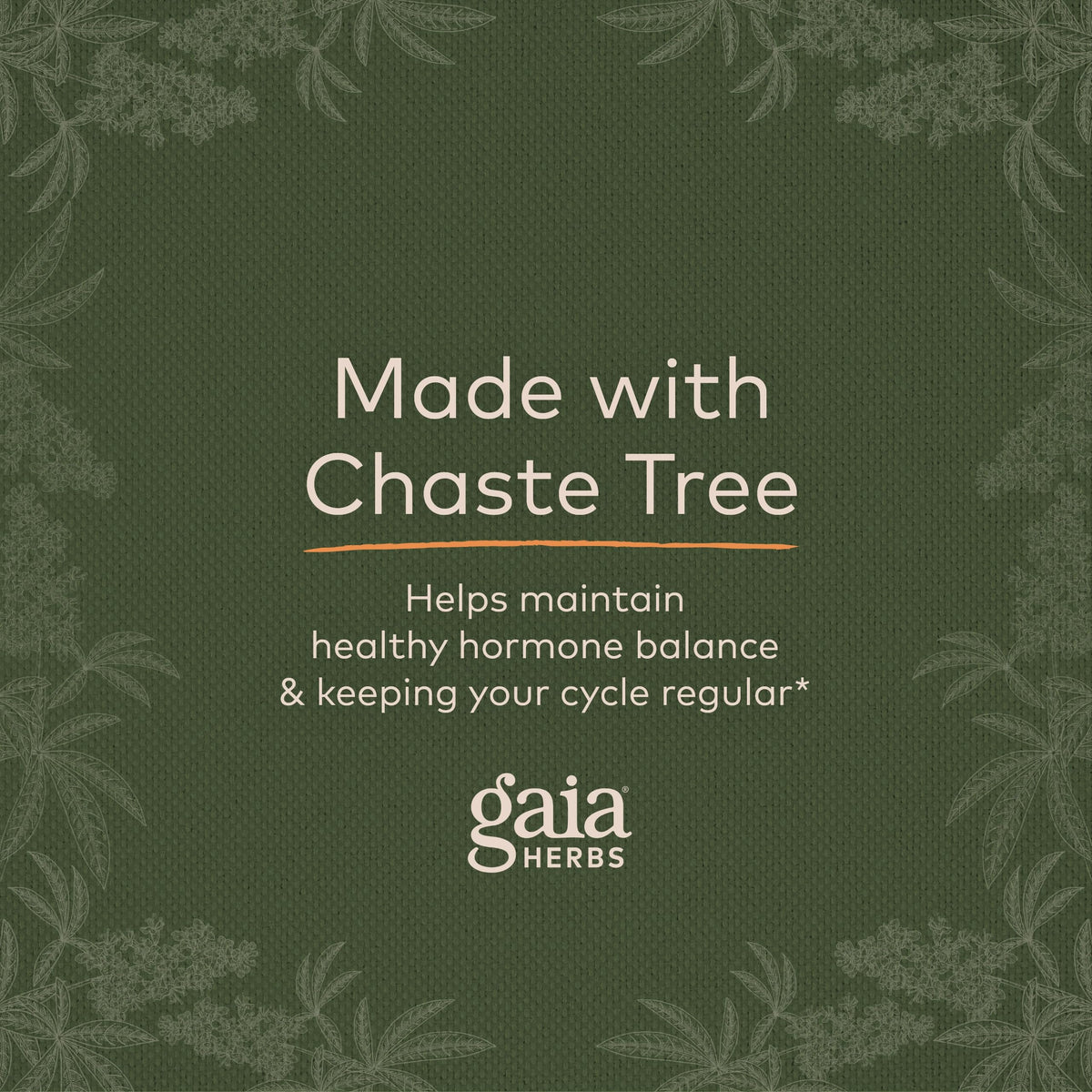 Gaia Herbs, Vitex Berry Vegan Liquid Phyto Capsules - PMS Support Supplement, Chaste Tree berry Gaia HerbsBuy Supplements Australia
