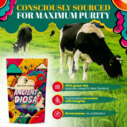 ANCIENT DIOSA Grass Fed Beef Liver Capsules - Female-Focused Organ Supplement with Liver, Heart, Ovary & Uterus - Supports Hormone Balance & Vitality, Whole Body Wellness - 60 Capsules ANCIENT DIOSABuy Supplements Australia