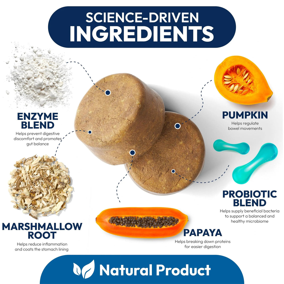 Probiotics for Dogs - 170 Dog Probiotics Chews - Digestive Enzymes & Prebiotics - Support Gut Health, Diarrhea, Gas & Constipation Relief - Itchy Skin, Allergies, Yeast Balance - Advanced Supplement Petsology buy supplements Au