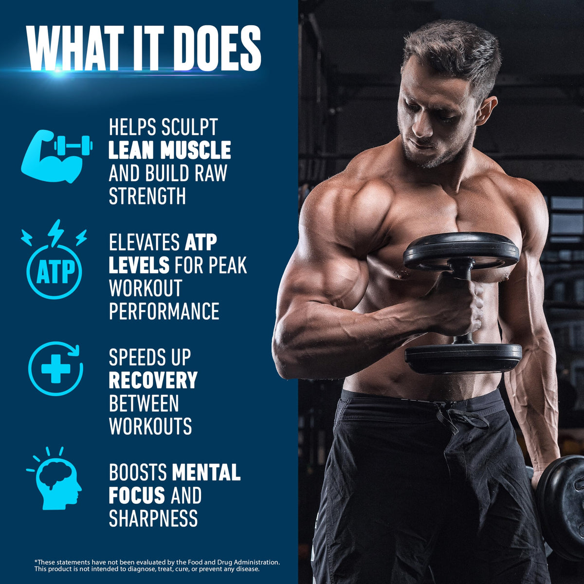 Creatine Monohydrate Powder 500g – Supports Muscle Growth, Strength & Cognitive Function*, 5g per Serv - 100 Servings, Pure Micronized Creatine for Enhanced Performance, Unflavored, 17.9 oz SCHIFFER HEALTHBuy Supplements Australia
