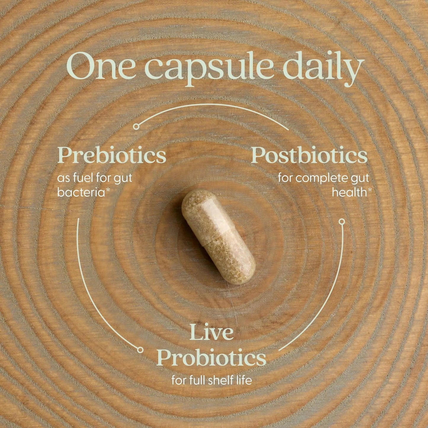 New Chapter All-Flora Probiotic for Advanced Digestion & Complete Gut Health with Prebiotics + Postbiotics, Clinical-Strength Strains, 100% Vegetarian, Non-GMO, Shelf Stable - 60 ct (2 Month Supply) New ChapterBuy Supplements Australia