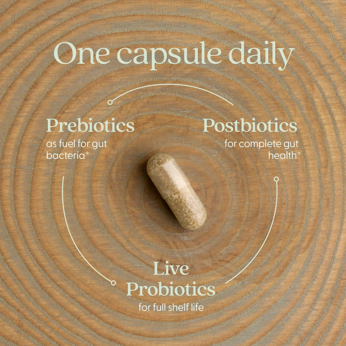 New Chapter All-Flora Probiotic for Advanced Digestion & Complete Gut Health with Prebiotics + Postbiotics, Clinical-Strength Strains, 100% Vegetarian, Non-GMO, Shelf Stable - 60 ct (2 Month Supply) New ChapterBuy Supplements Australia