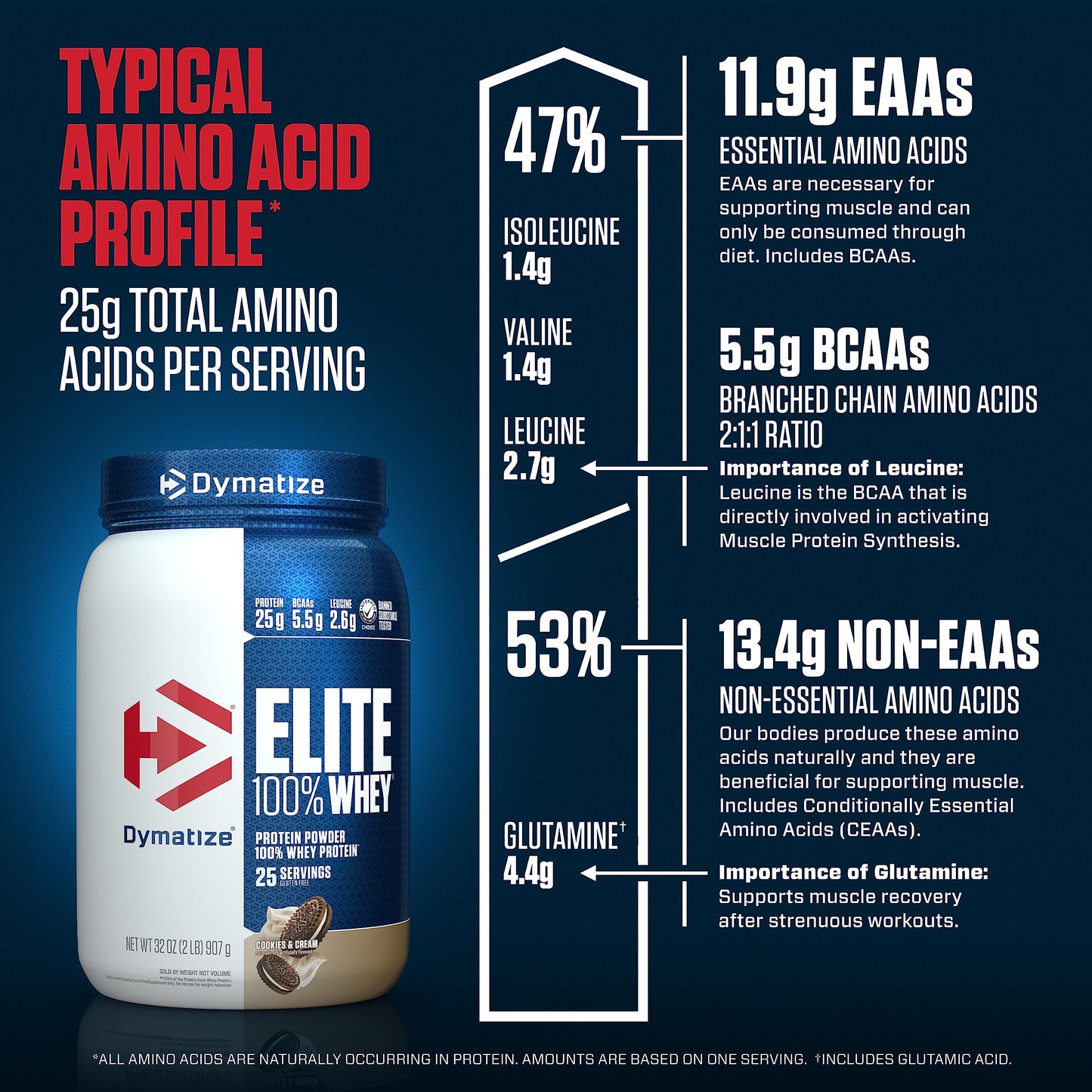 Dymatize Elite 100% Whey Protein Powder, Quick Absorbing & Fast Digesting for Optimal DymatizeBuy Supplements Australia