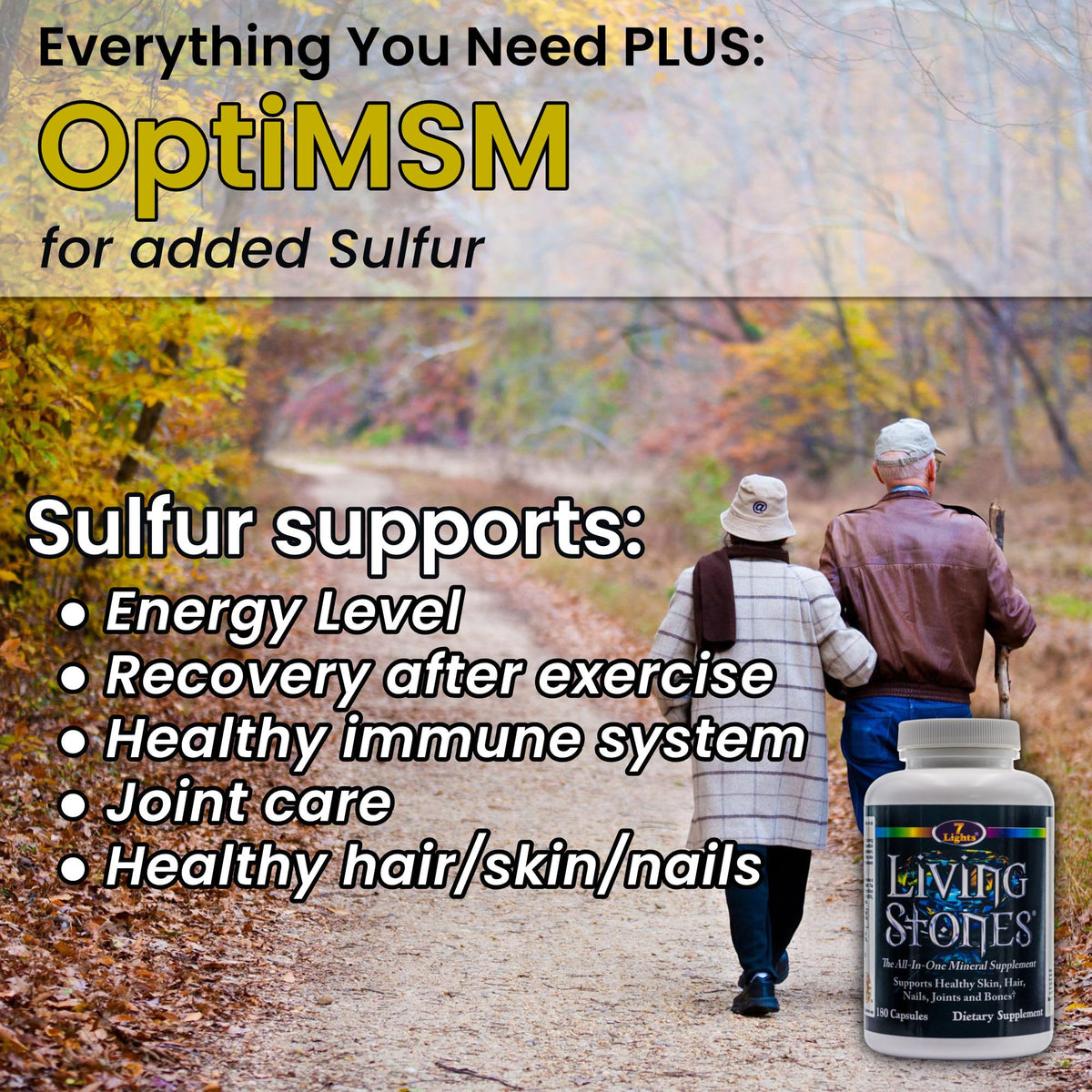Living Stones, Complete Mineral Supplement with Zinc, Calcium, Magnesium, Selenium, Trace Minerals, No Added Iron, with MSM (Organic Sulfur) and Shilajit, Premium Absorption (30-Day Supply - 180 Caps) 7 LightsBuy Supplements Australia