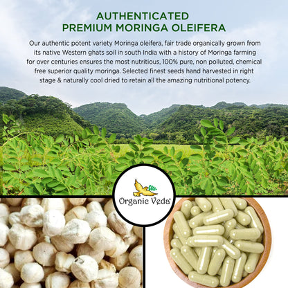 Organic Veda Moringa Seed Capsules - Pure Organic Moringa Capsules Seed Powder Organic VedaBuy Supplements Australia