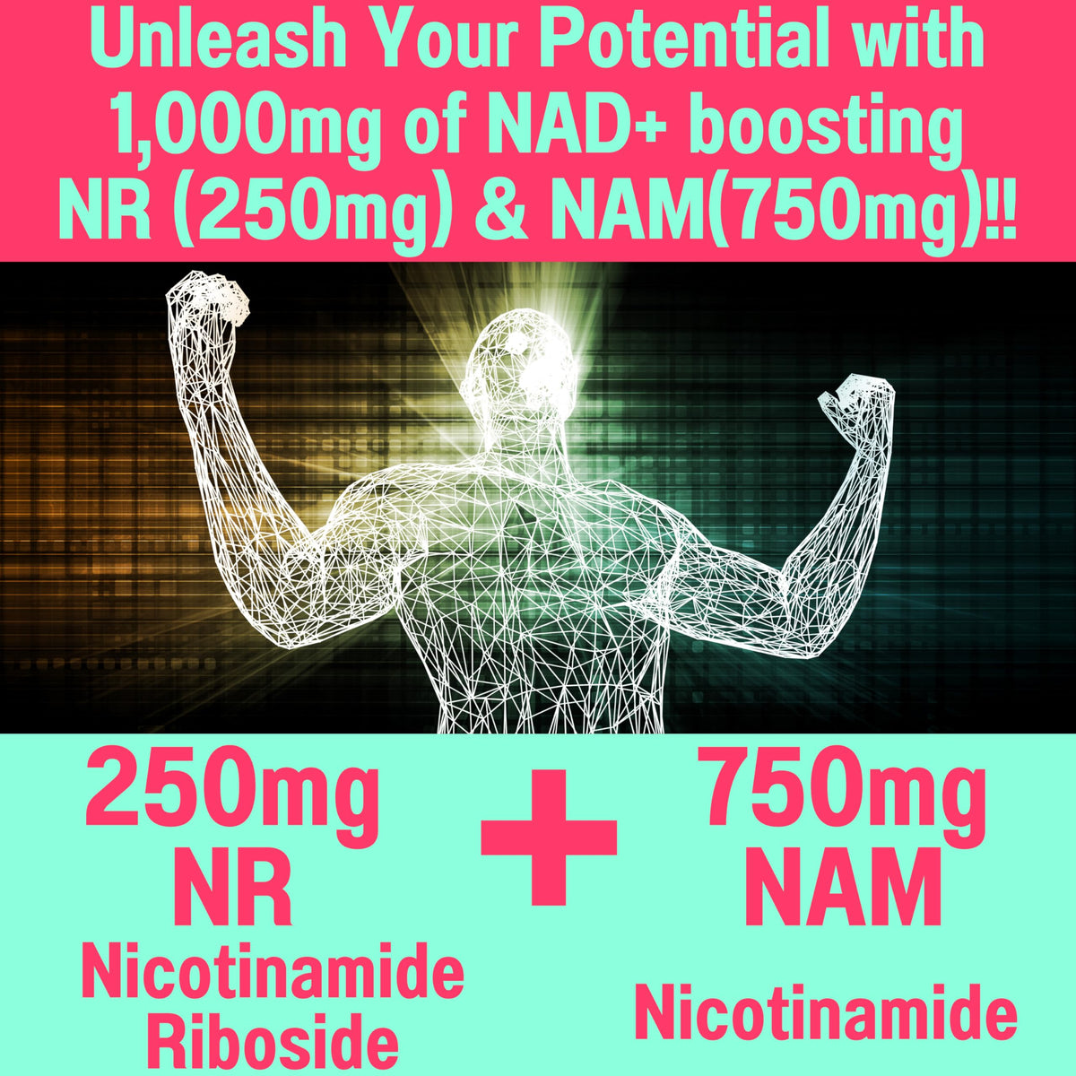 SHIZAM Nicotinamide Riboside NR NAM Resveratrol Gummies, 1000mg NAD+ NAD + Plus Nrf2 Activator Booster w Pure Niacinamide Vitamins B3 Capsules Pills Powder Supplements Alt NDA Regenerator 500mg SHIZAMBuy Supplements Australia