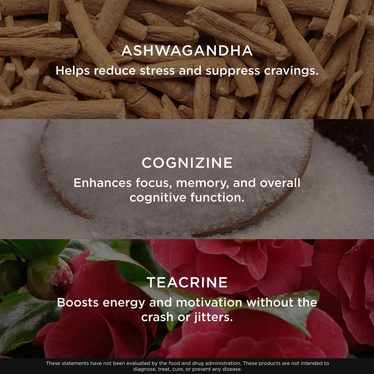 Genius Thermogenic Fat Burner, 60 Diet Veggie Pills - Weight Loss & Metabolism Supplement, Appetite Suppressant & Energy Booster - Caffeine-Free Nootropic Focus & Brain Boost - Ashwagandha & TeaCrine The Genius BrandBuy Supplements Australia