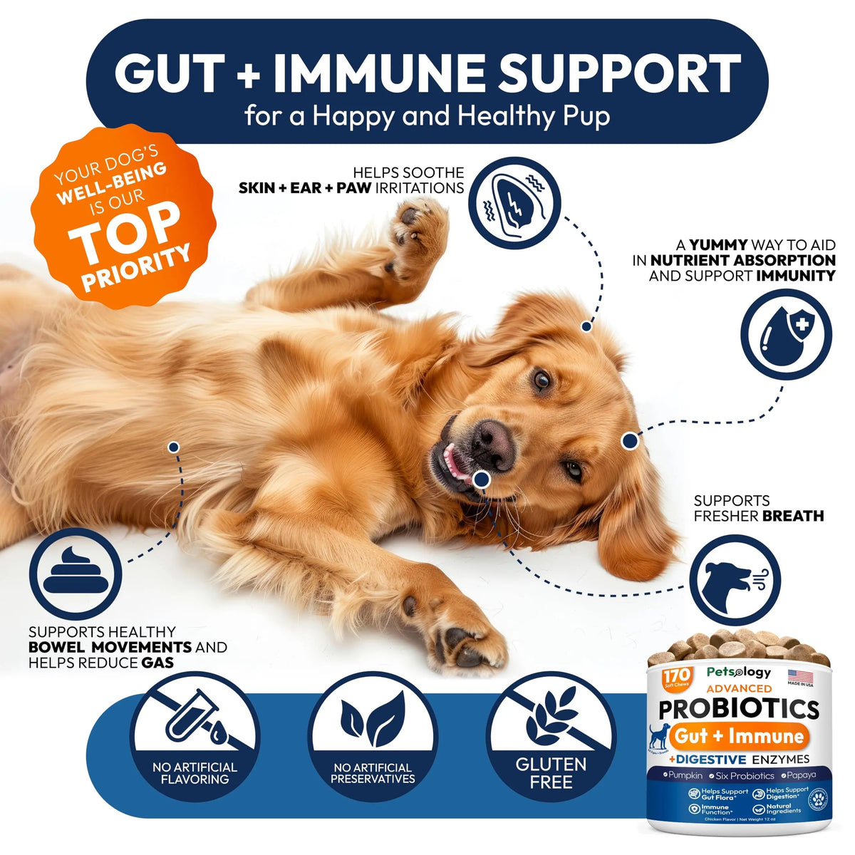 Probiotics for Dogs - 170 Dog Probiotics Chews - Digestive Enzymes & Prebiotics - Support Gut Health, Diarrhea, Gas & Constipation Relief - Itchy Skin, Allergies, Yeast Balance - Advanced Supplement Petsology buy supplements Au