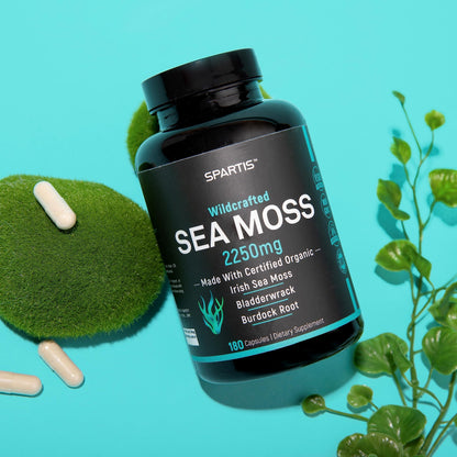 Certified Organic Sea Moss Capsules 2250mg Wildcrafted Irish Sea Moss Burdock Root SPARTISBuy Supplements Australia