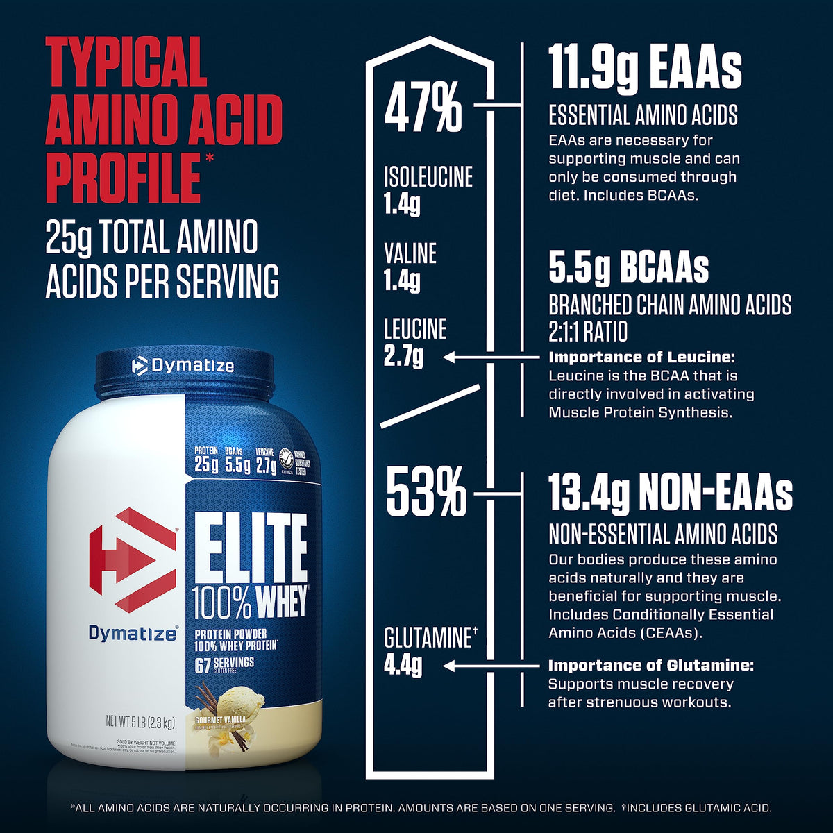 Dymatize Elite 100% Whey Protein Powder, 25g Protein, 5.5g BCAAs & 2.7g L-Leucine DymatizeBuy Supplements Australia