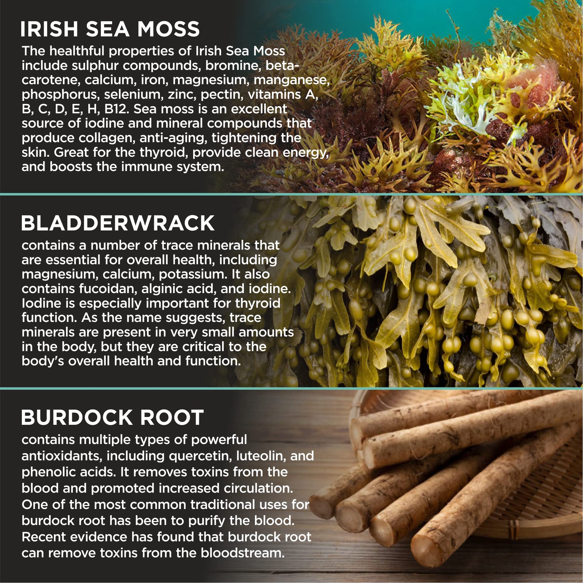HerbaMe Organic Irish Sea Moss with Bladderwrack, Burdock Root & Black Pepper Extract HerbaMeBuy Supplements Australia