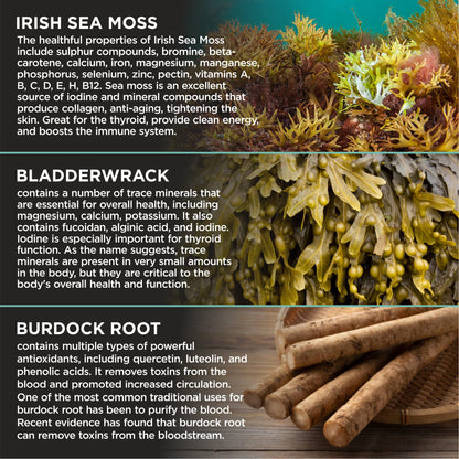 HerbaMe Organic Irish Sea Moss with Bladderwrack, Burdock Root & Black Pepper Extract HerbaMeBuy Supplements Australia