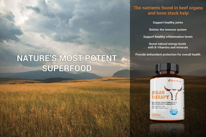 SaltWrap Organ Therapy - Grass Fed Beef Organ Meat Complex Supplement with Organic SaltWrapBuy Supplements Australia