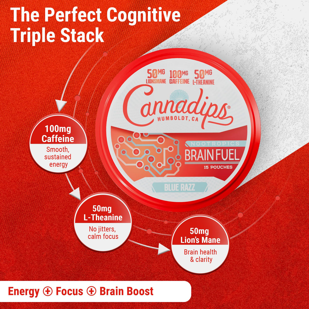Cannadips - Brain Fuel Variety Pack - Nootropic Caffeine Pouches - 50mg Lion's Mane, 100mg Caffeine, 50mg L-Theanine, No Sugar - Clean Energy Brain Fuel for Cognitive Performance, Made in USA (5-PACK) CannadipsBuy Supplements Australia