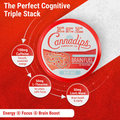Cannadips - Brain Fuel Variety Pack - Nootropic Caffeine Pouches - 50mg Lion's Mane, 100mg Caffeine, 50mg L-Theanine, No Sugar - Clean Energy Brain Fuel for Cognitive Performance, Made in USA (5-PACK) CannadipsBuy Supplements Australia