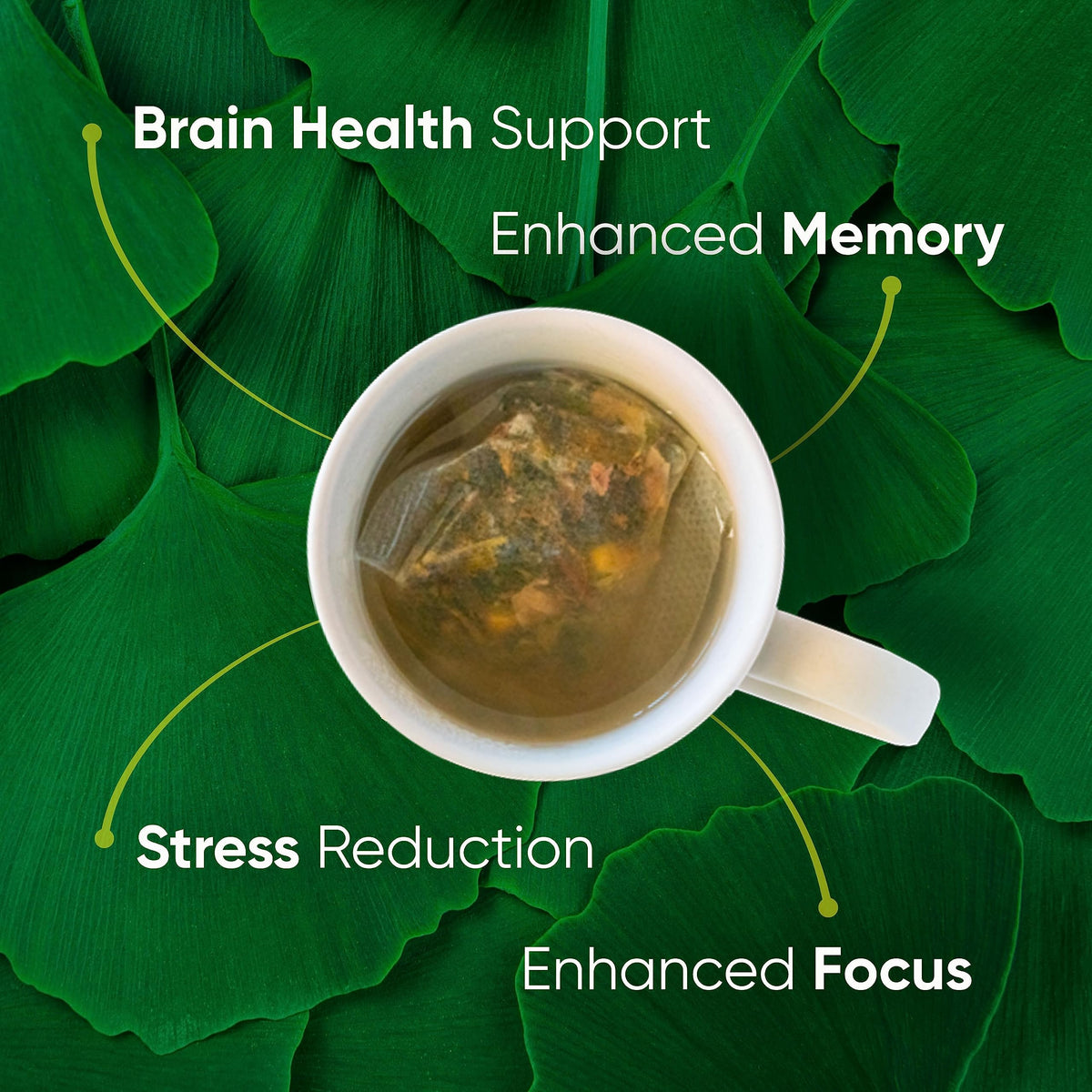 Brain Tea Focus & Memory - Brain Tea Organic Certified 4-in-1 Nootropic Herbal Supplement with Ginkgo Biloba, Gotu Kola, Lion’s Mane Mushroom, MCT Caffeine-Free for Mental Clarity (30 Sachets) Brain TeaBuy Supplements Australia