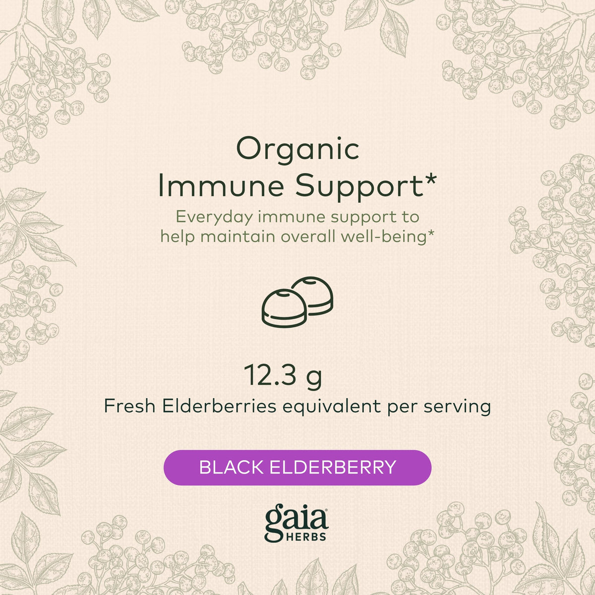 Gaia Herbs Black Elderberry (Sambucus Nigra) Extra Strength Gummies Gaia HerbsBuy Supplements Australia