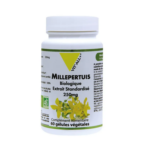 Millepertuis BIO Extrait standardisé 250 mg 60 gélules VIT'ALL+