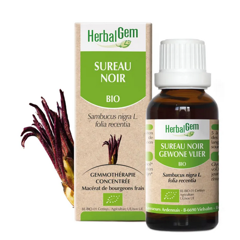 Sureau noir BIO Macérat mère bourgeons Flacon 30 ml HERBALGEM